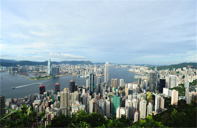image003.png