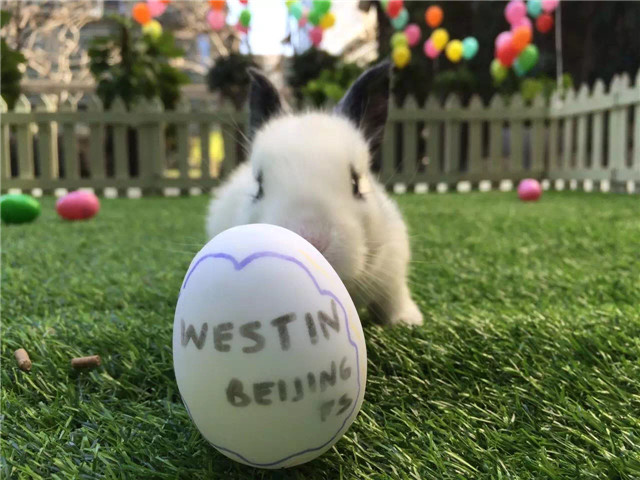 复活节快乐 Happy Easter.jpg