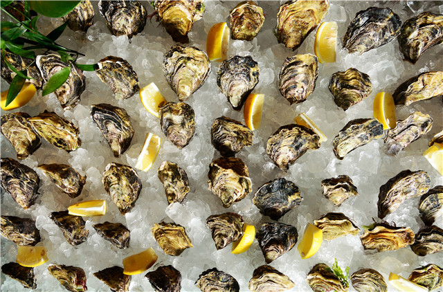 oysters1.jpg