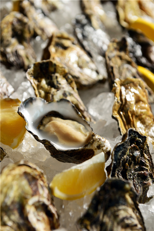 oysters -1.jpg