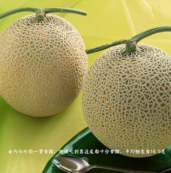 夕张麦伦_01.jpg