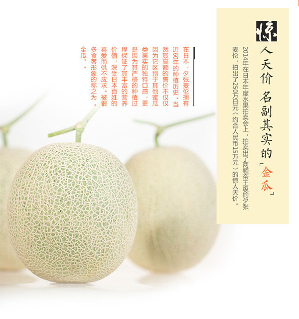 夕张麦伦_05.jpg
