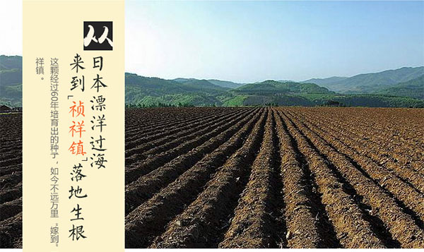 夕张麦伦_06.jpg
