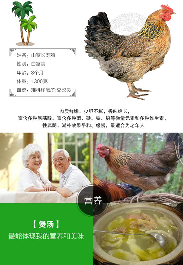 益智积长寿鸡_03.jpg