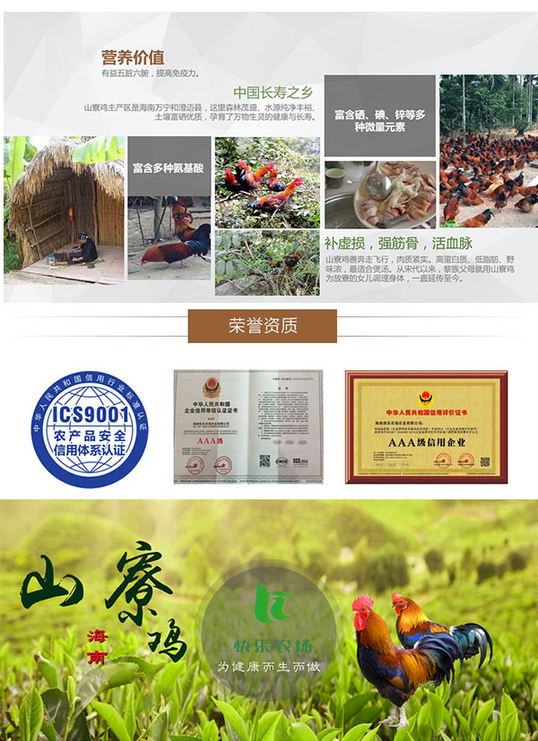 益智积长寿鸡_07.jpg