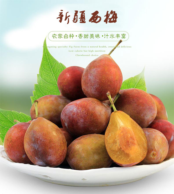 西梅_01_01.jpg