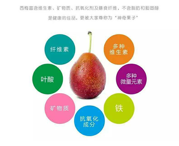 西梅_01_05.jpg