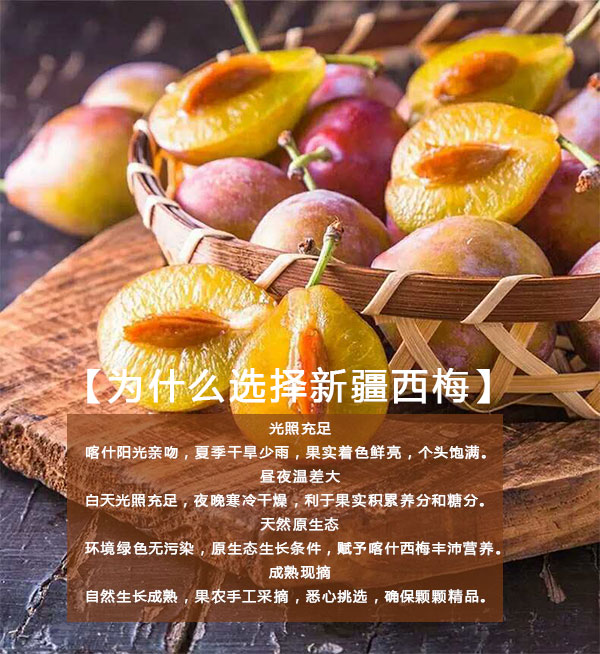 西梅_01_07.jpg