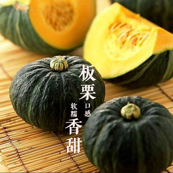 小南瓜_01.jpg