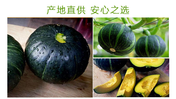 小南瓜_06.jpg