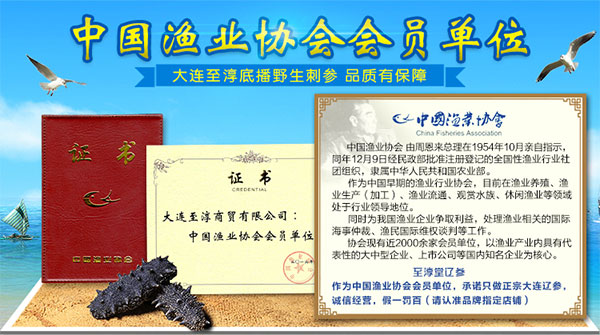 未标题-1_09.jpg