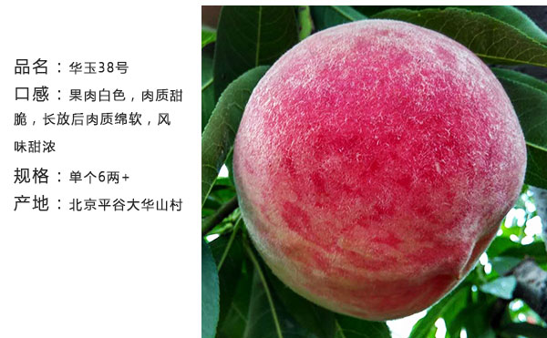 未标题-1_02.jpg