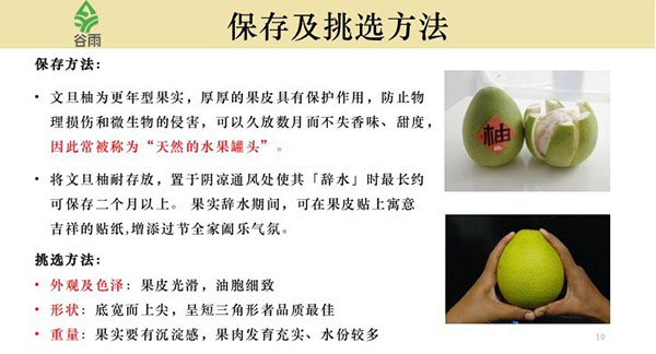 未标题-1_09.jpg