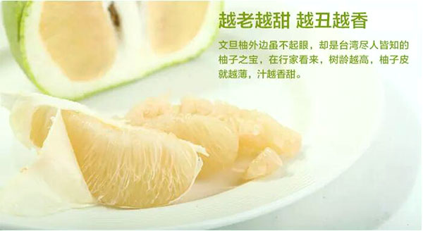 未标题-1_03.jpg