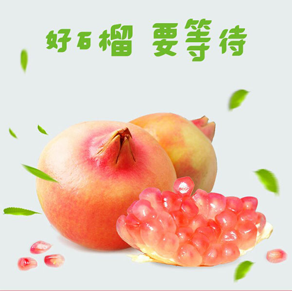 未标题-1_02.jpg