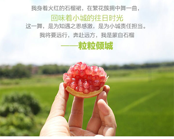 未标题-1_03.jpg