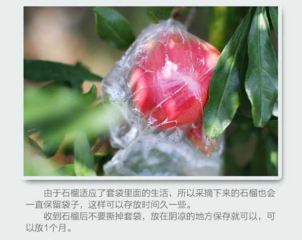 未标题-1_04.jpg
