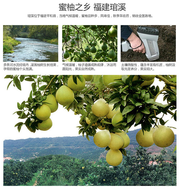 未标题-1_08.jpg