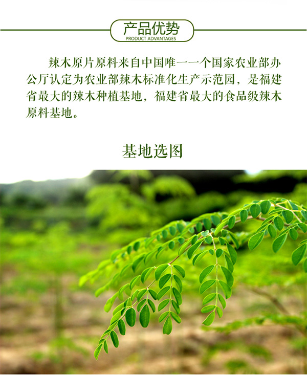 辣木原片8-13_05.jpg