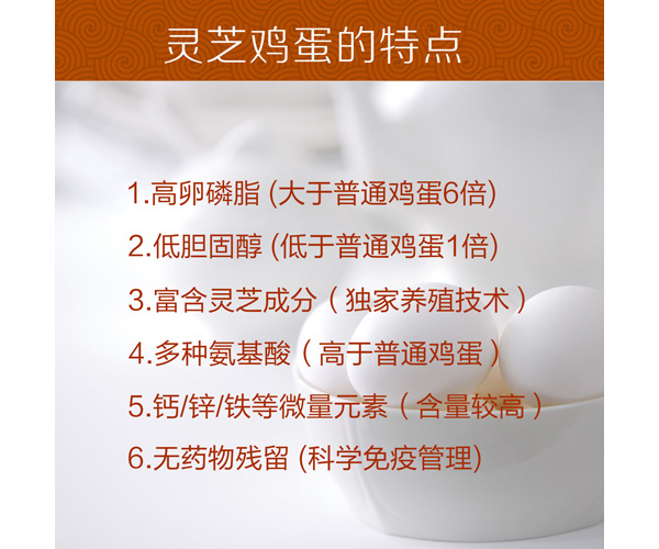 未标题-1_03.jpg