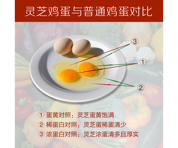 未标题-1_06.jpg