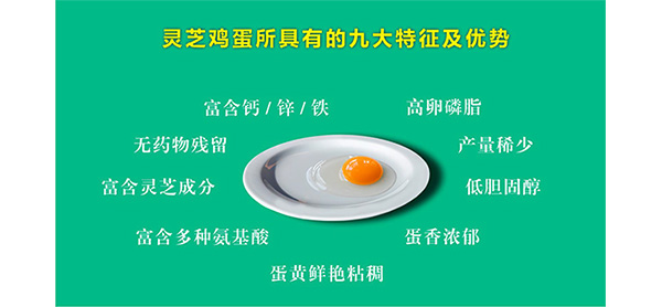 未标题-1_08.jpg