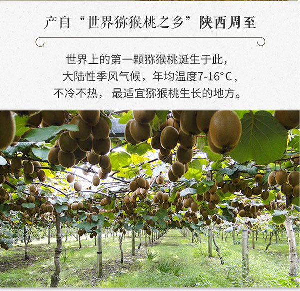 未标题-1_04.jpg