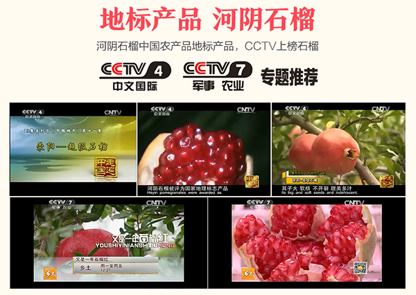 未标题-1_05.jpg
