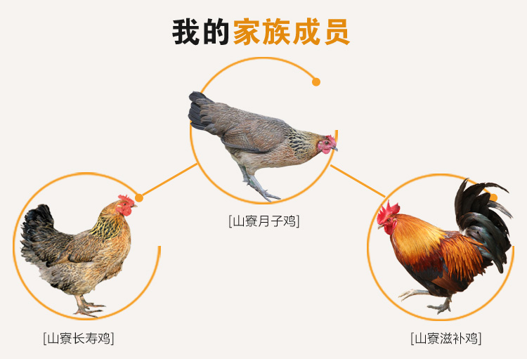 益智鸡-月子套餐_13.jpg