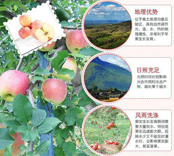 未标题-1_07.jpg