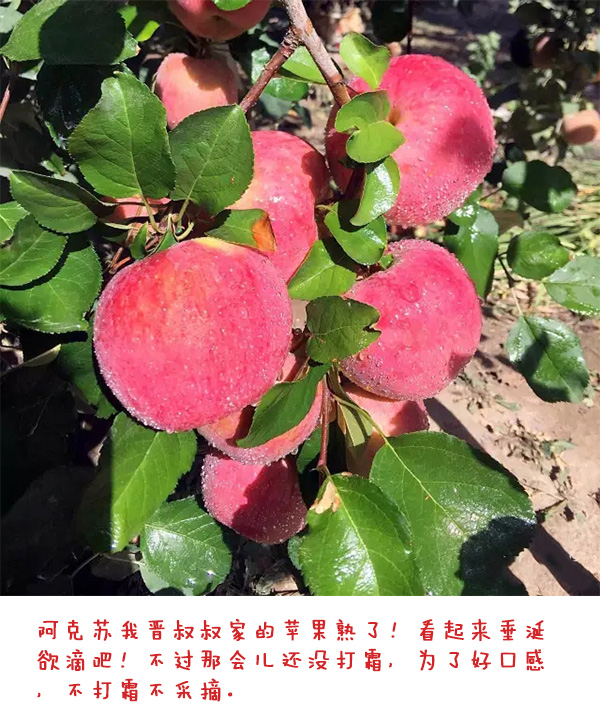 未标题-1_03.jpg