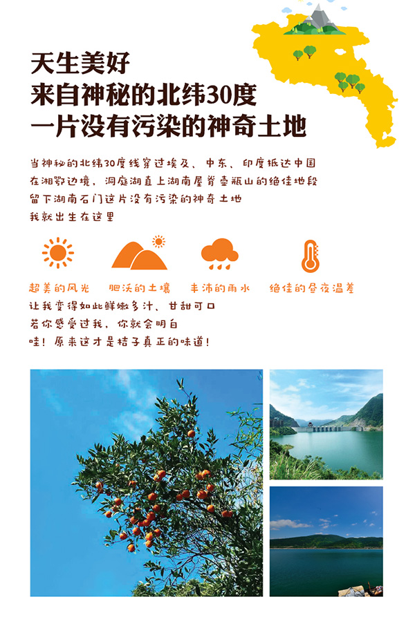 小甜甜电商文件说明-1024_04.jpg