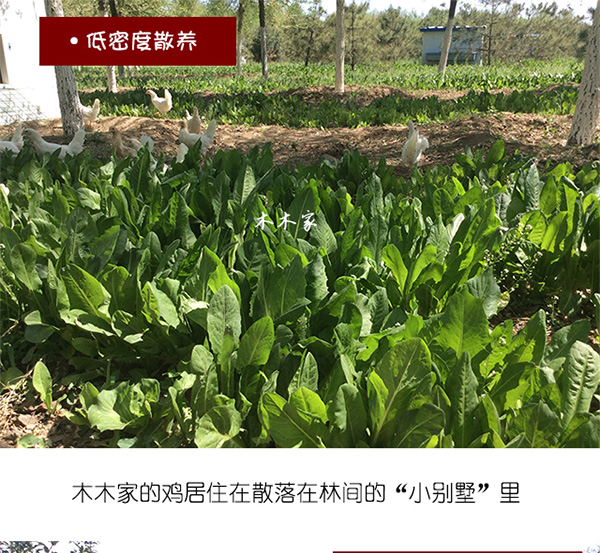 未标题-1_04.jpg