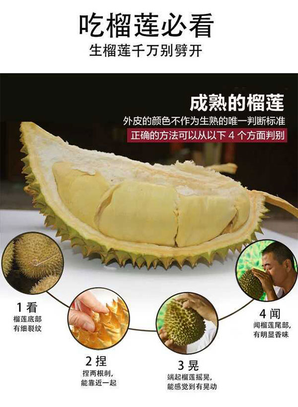 未标题-1_02.jpg