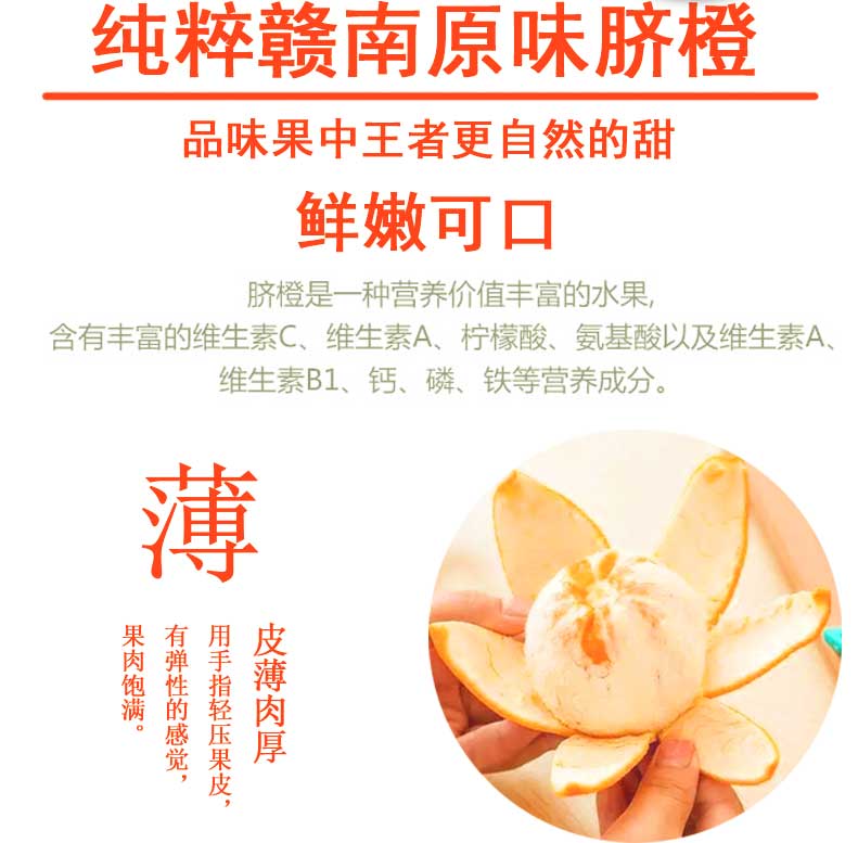 淘宝主图2终稿_03.jpg