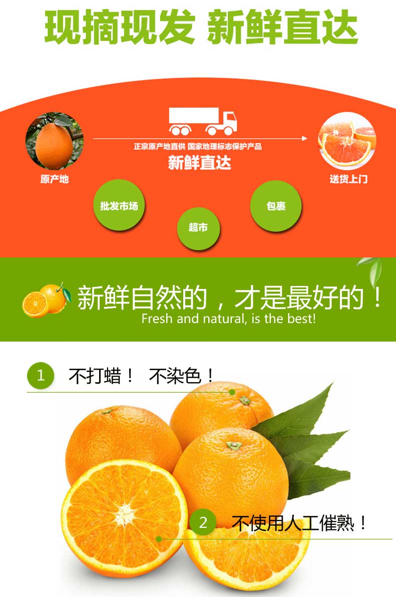 淘宝主图2终稿_07.jpg
