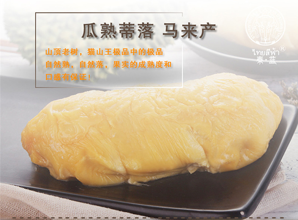 未标题-1_02.jpg
