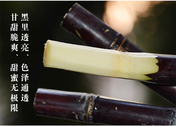 未标题-1_07.jpg