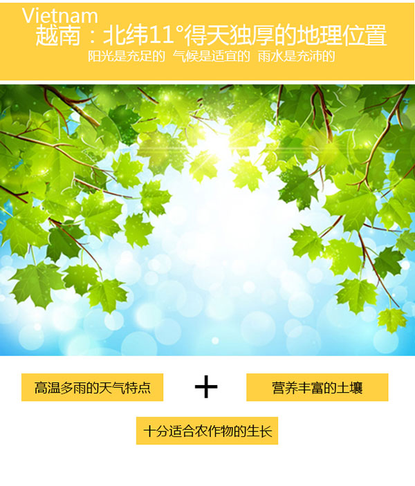 webwxgetmsgimg-(1)_02.jpg