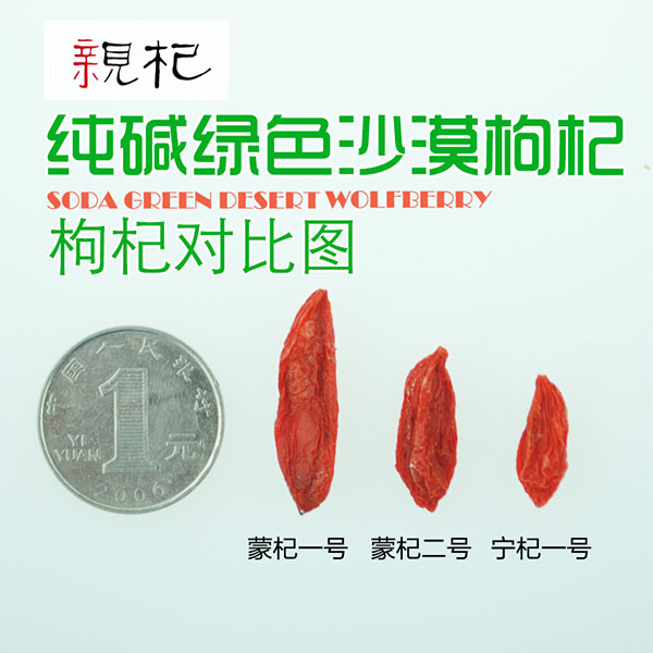 未标题-1_09.jpg
