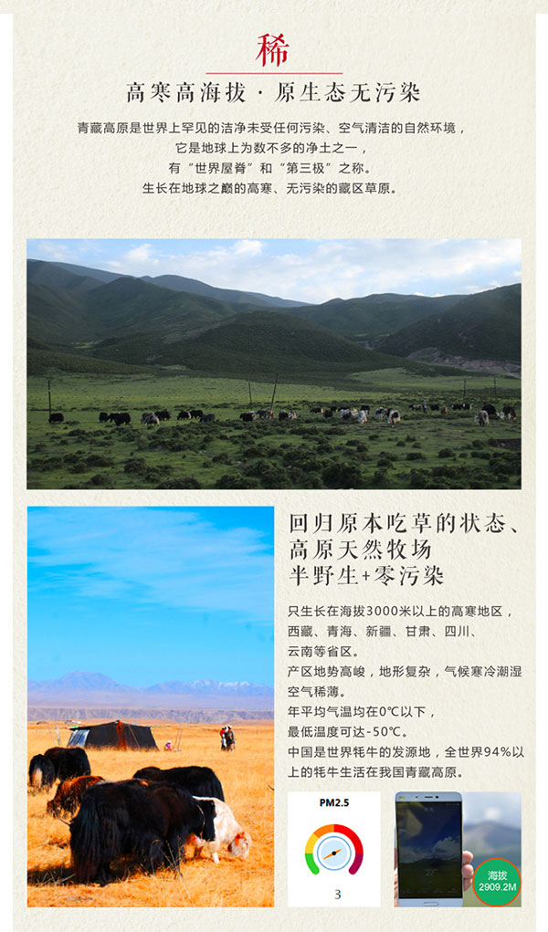 未标题-2_02.jpg