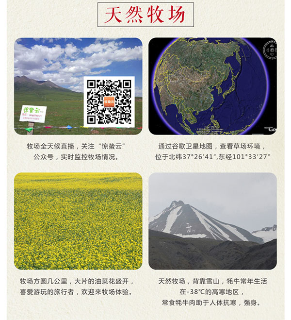 未标题-2_06.jpg