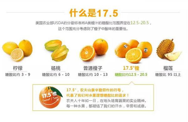 1483412372408037276.jpg 未标题-1_02.jpg