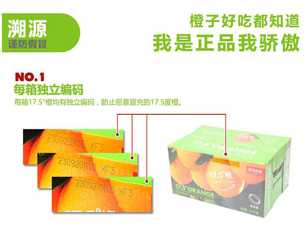 1483412379334096067.jpg 未标题-1_07.jpg