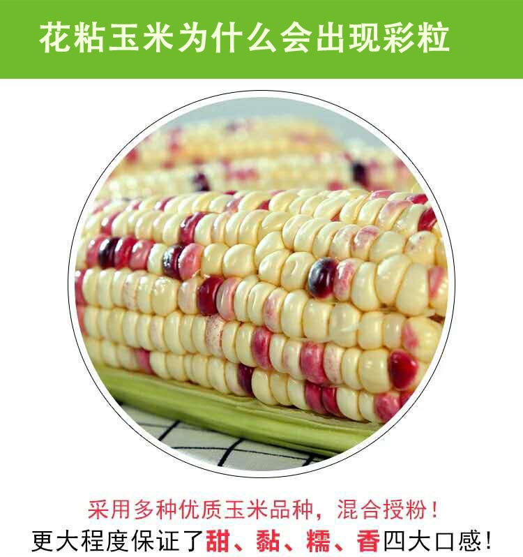 1拷贝.jpg