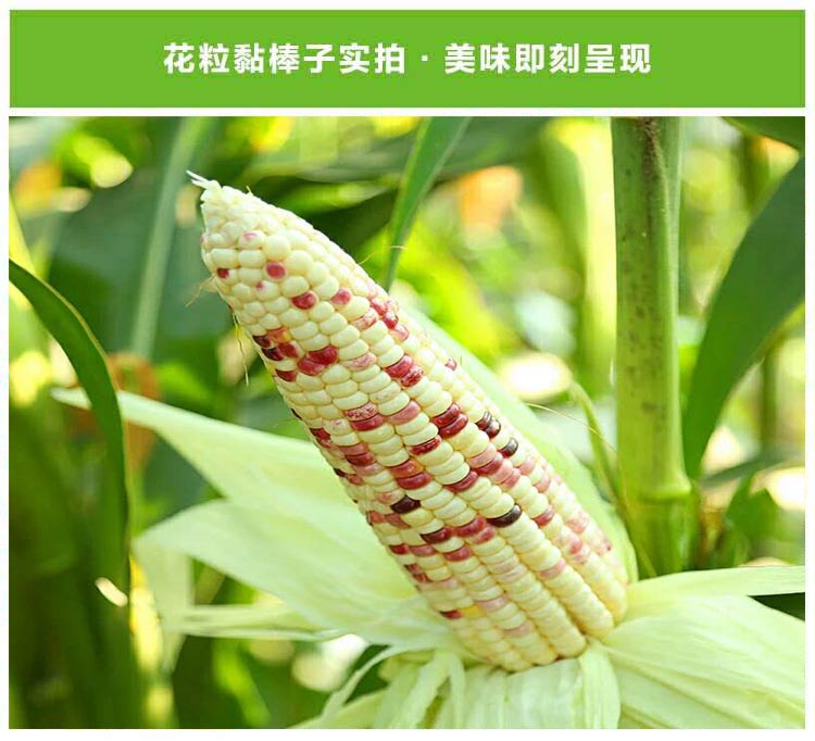3拷贝.jpg