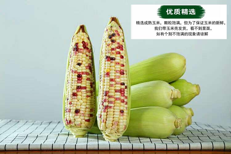 4拷贝.jpg