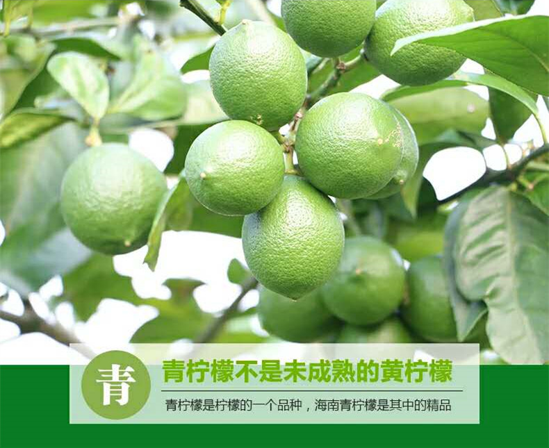 518415581589717670_副本.jpg