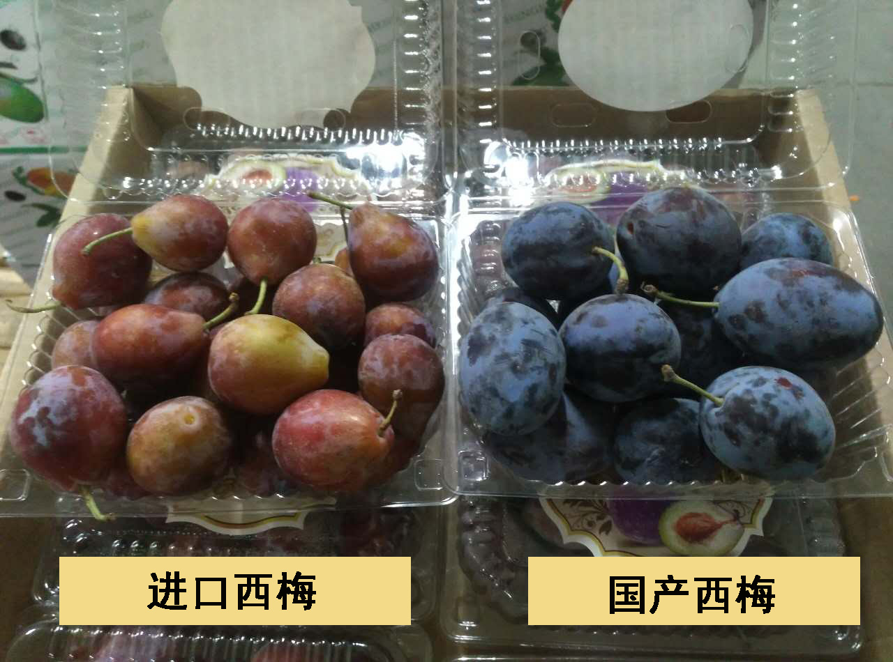 423537058220070419 拷贝.jpg