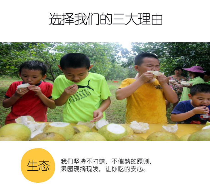 1506245702352023409.jpg 05 拷贝.jpg